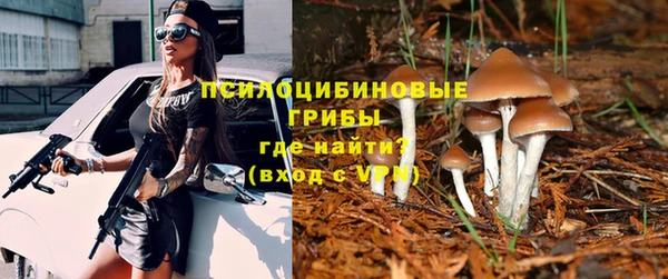 гидра Зеленокумск