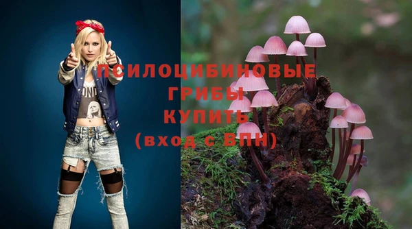 кокаин премиум Заводоуковск